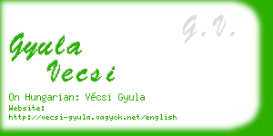 gyula vecsi business card
